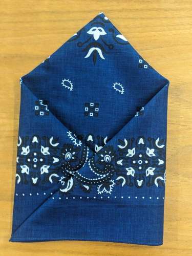 Wilsons Handkerchief - Navy with Black and White Paisley