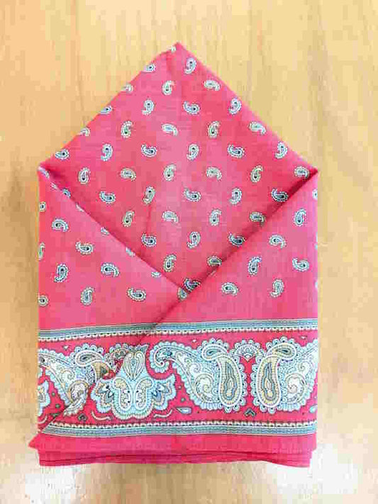 Handkerchief - Red Paisley Border